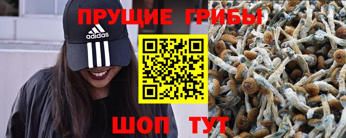 Псилоцибиновые грибы мухоморы Гусев